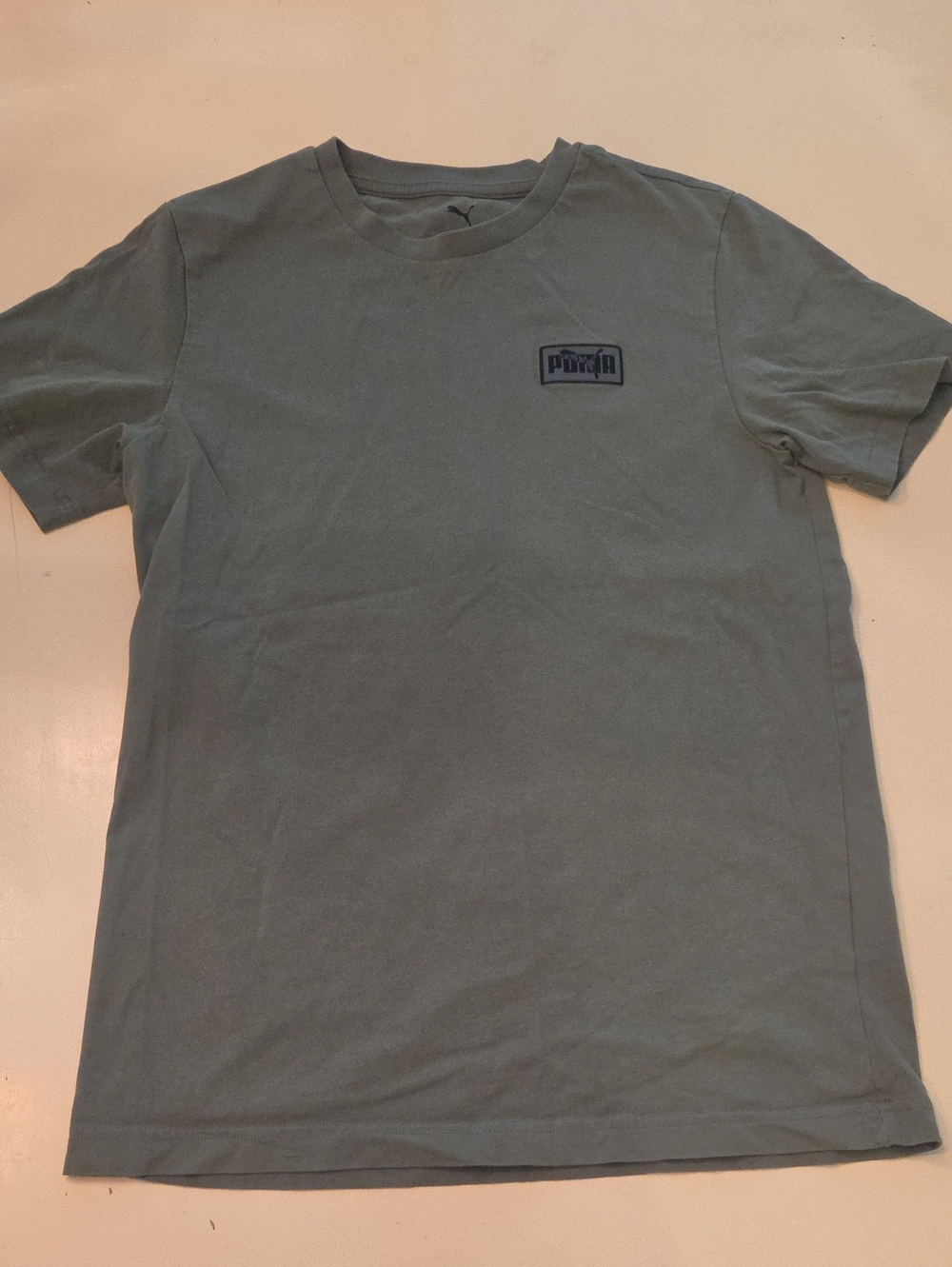 Puma Sage Green Graphic Box Logo Short Sleeve Tee S